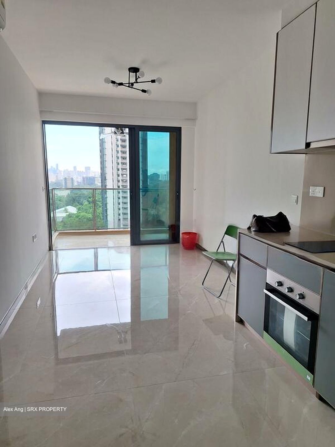 Normanton Park (D5), Apartment #484903851